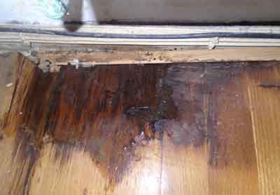 wood floor showing water damage